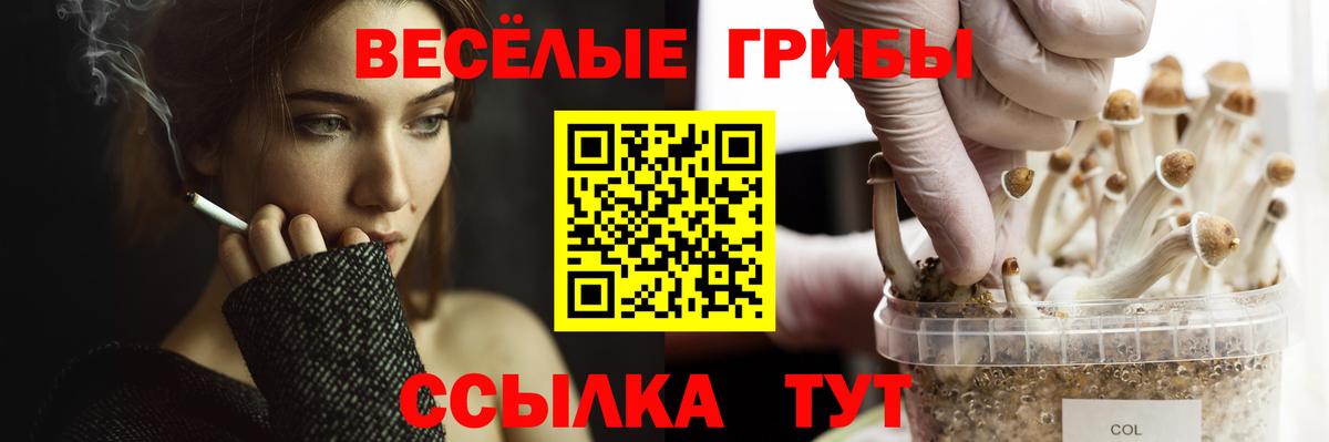 Новоалтайск  Галлюциногенные грибы прущие грибы  Вход с VPN 